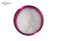 Thermoplastic Copolyester PES Powder Hot Melt Adhesive Glue For Heat Transfer